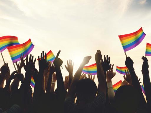 A group of people waving Gay Pride flags