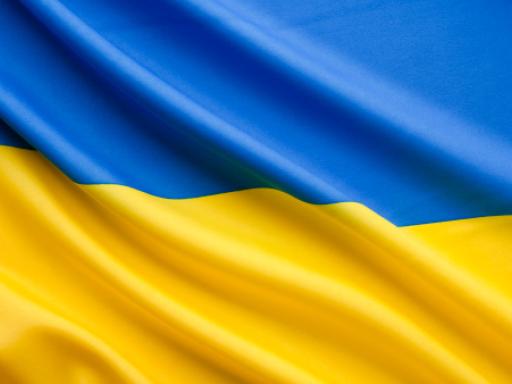 Ukraine Flag